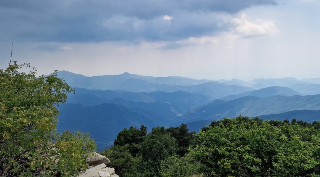 Eventi 23-24 luglio nel Parco