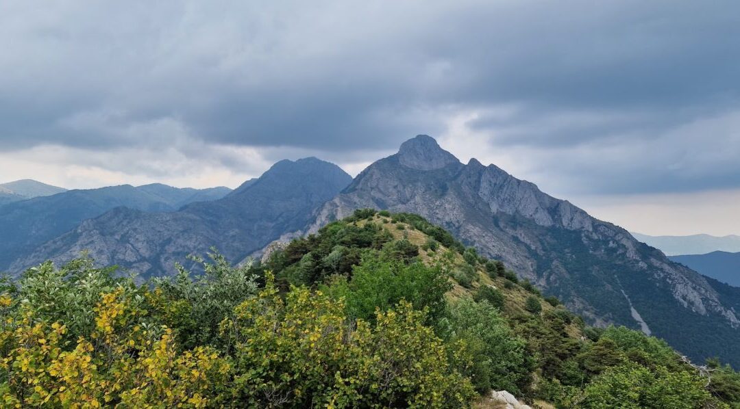 24 luglio – Escursione gratuita con navetta: il Monte Lega