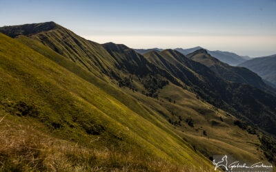 10 luglio – Escursione gratuita con navetta: Passo Teglia-Monte Monega