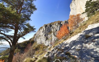 Escursioni gratuite con navetta – Domenica 6 ottobre il Monte Pietravecchia