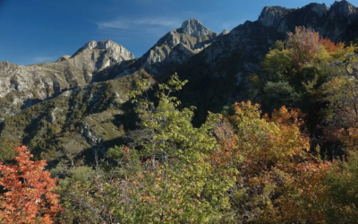 Escursioni gratuite con navetta – Domenica 13 ottobre il Monte Toraggio