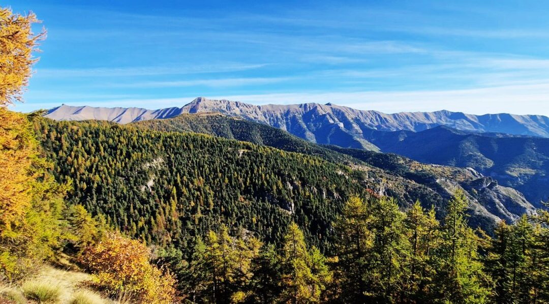 Eventi 17 novembre nel Parco