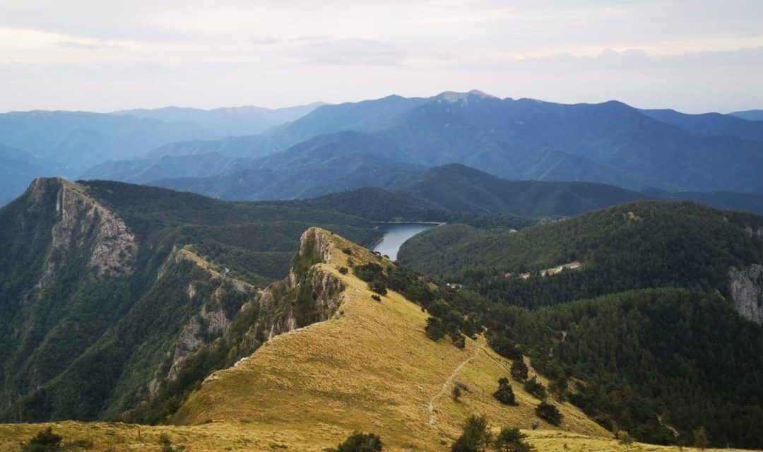 Eventi 8-10 novembre nel Parco