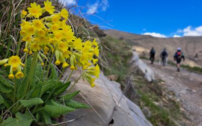 Maggio dei Parchi della Liguria – Fino al 2 giugno eventi in tutte le aree protette