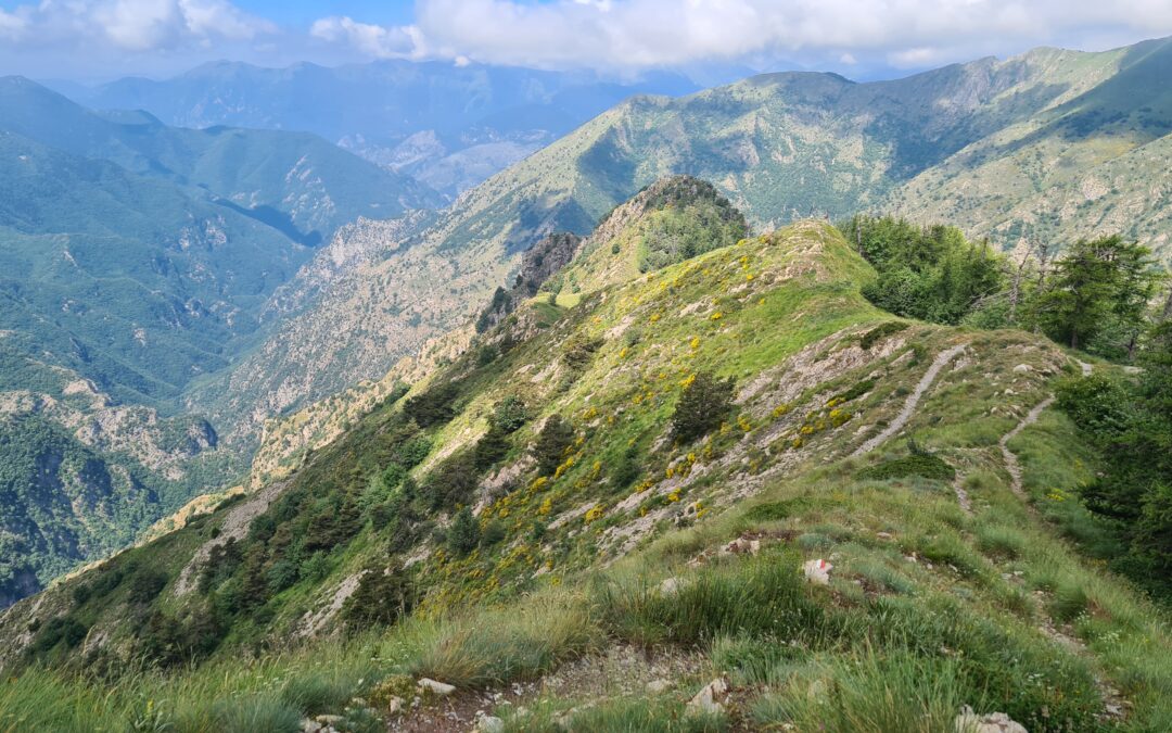 Eventi 31 maggio-2 giugno nel Parco