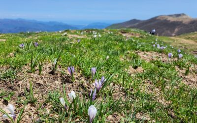 Eventi 10-11 maggio nel Parco