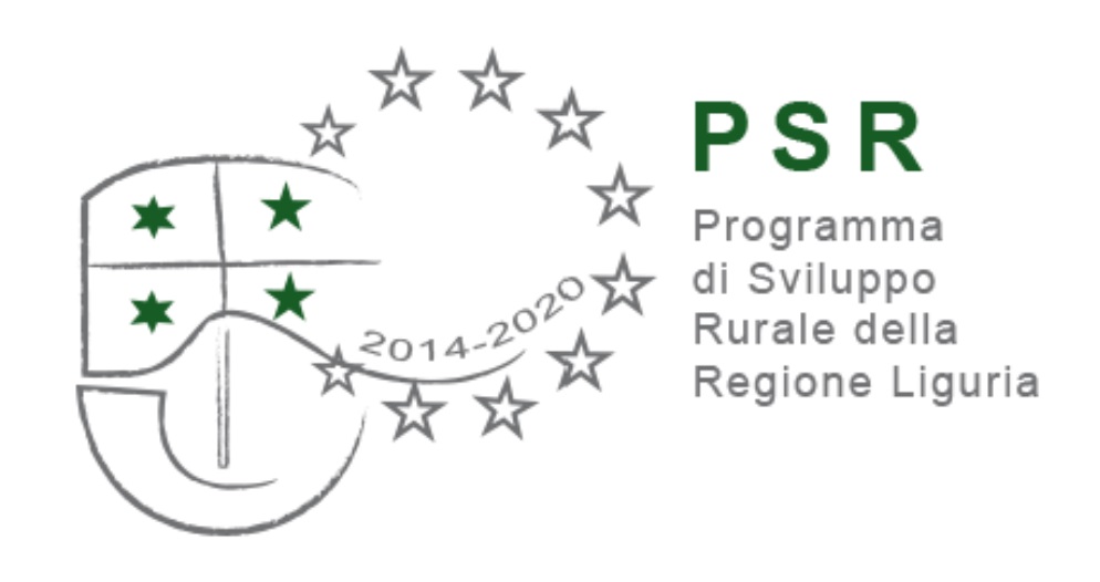 PSR