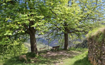 Eventi 17 maggio nel Parco