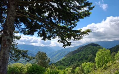 Eventi 24-25 maggio nel Parco