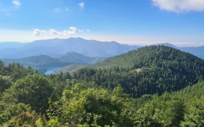 Eventi 13-15 giugno nel Parco