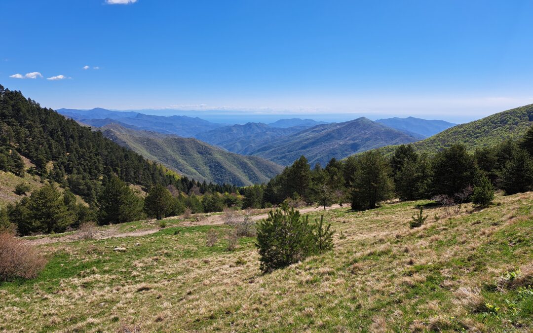 Eventi 21-22 giugno nel Parco