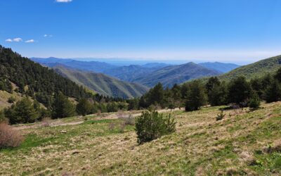 Eventi 21-22 giugno nel Parco
