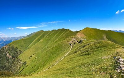 Eventi 15-19 agosto nel Parco
