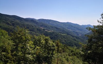 Eventi 7-10 agosto nel Parco