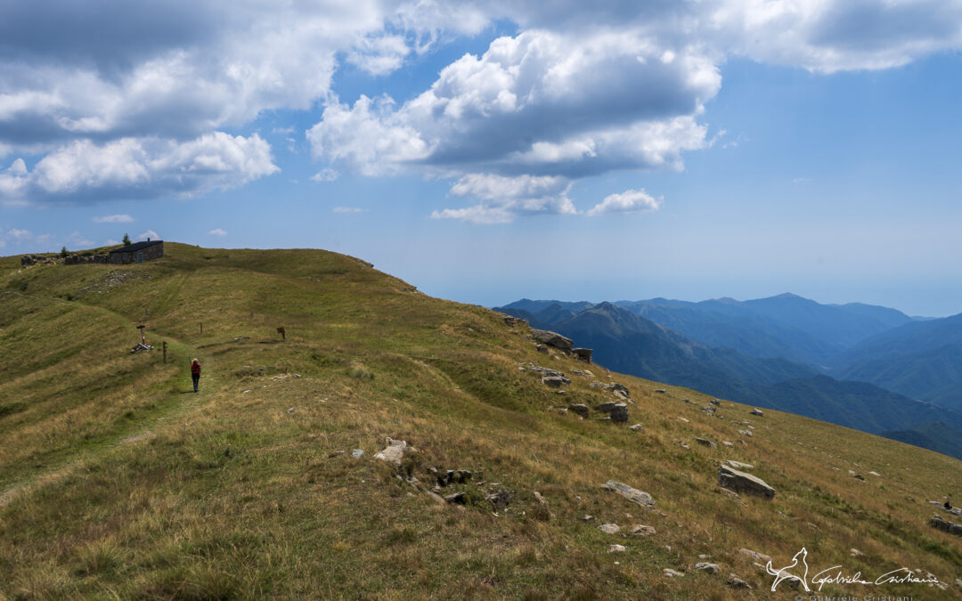 Eventi 20-21 settembre nel Parco
