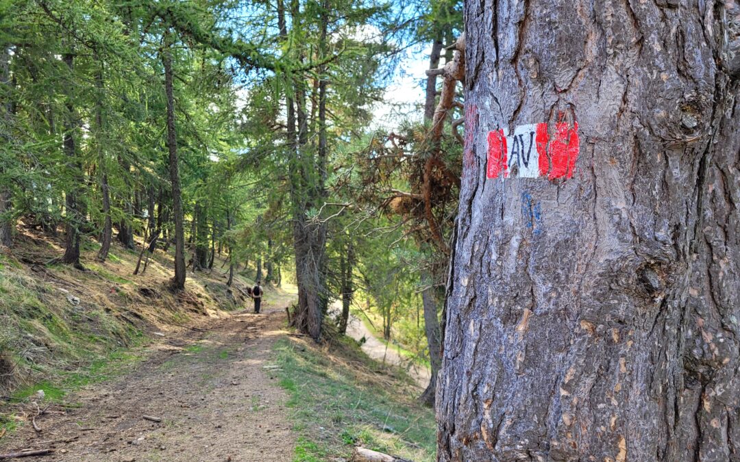 Eventi 10-12 ottobre nel Parco
