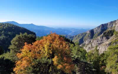 Eventi 17-19 ottobre nel Parco