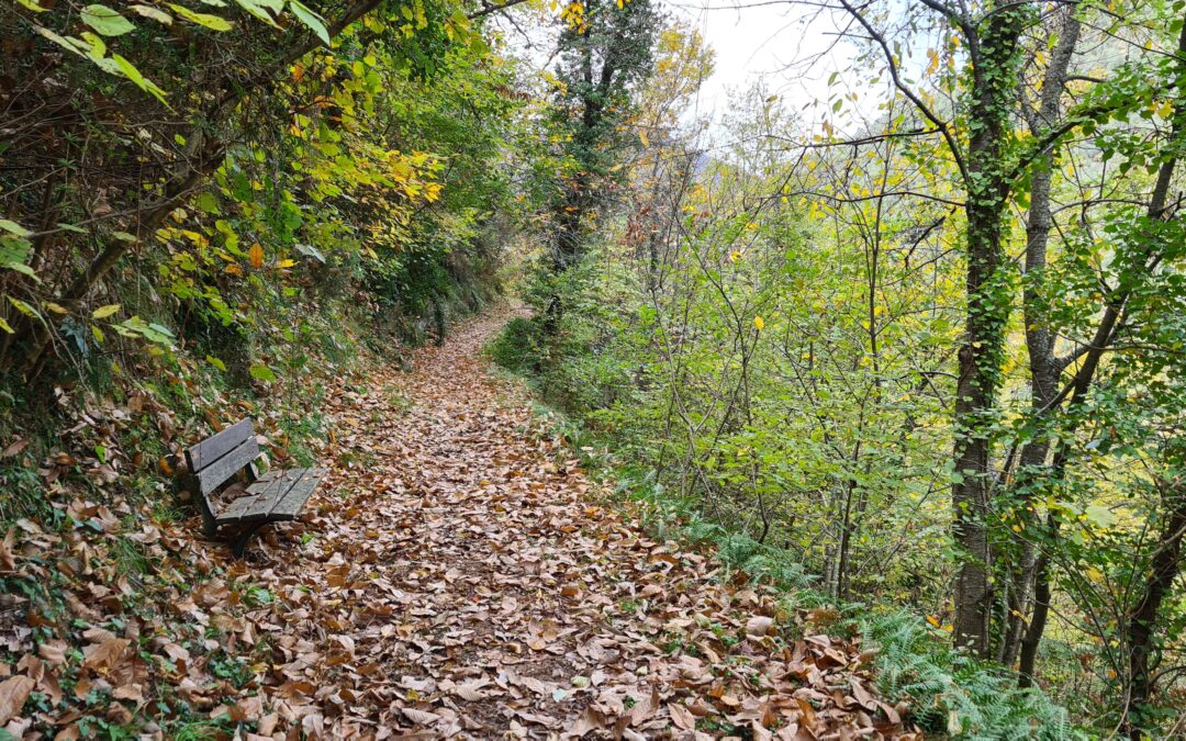 Eventi 3-5 ottobre nel Parco