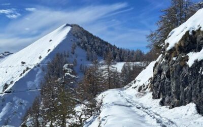 Eventi 21-22 febbraio nel Parco