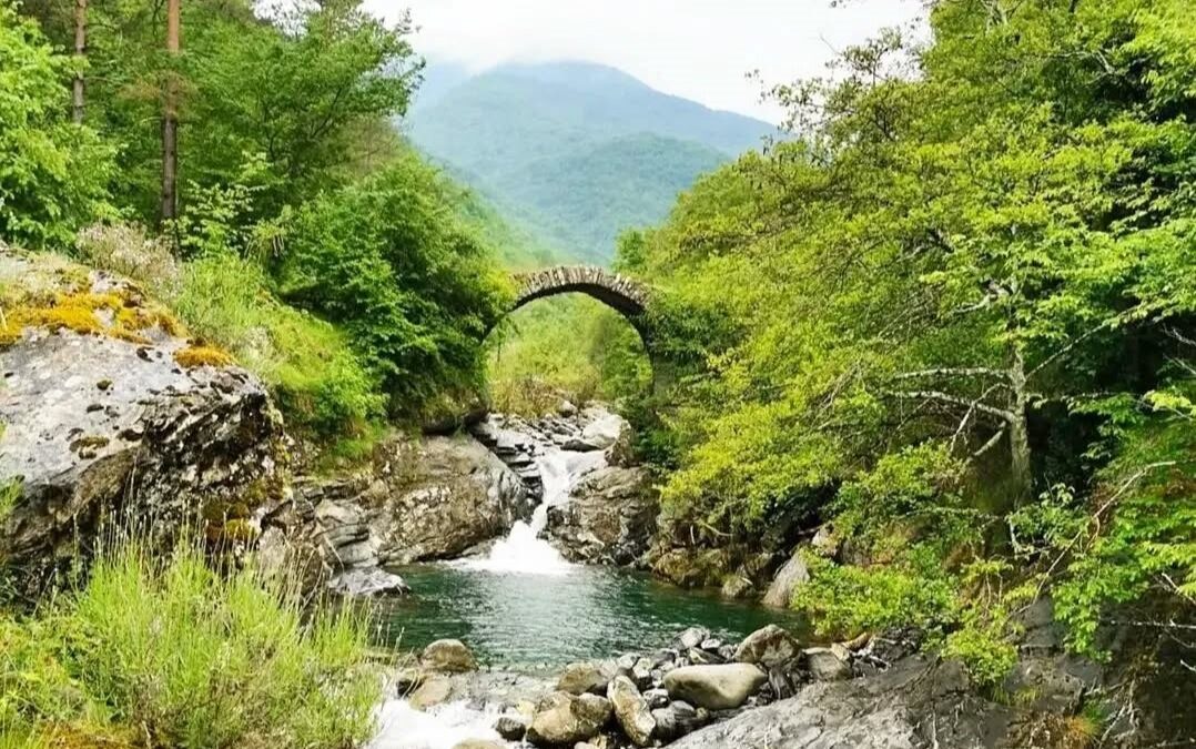 Eventi 13-14 febbraio nel Parco