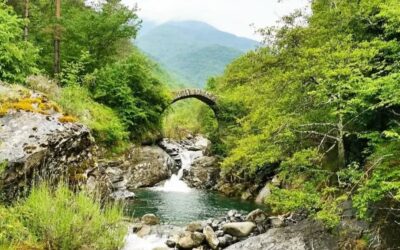 Eventi 13-14 febbraio nel Parco