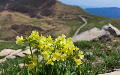 Eventi 10-12 aprile nel Parco