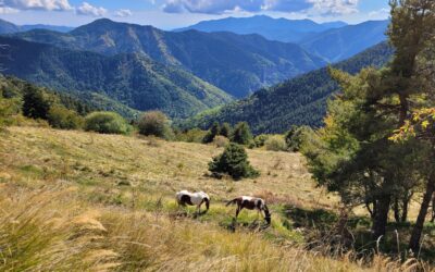 Eventi 8-10 maggio nel Parco