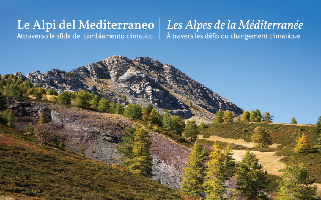 Un nuovo marchio per le Alpi del Mediterraneo comprese tra Cuneo, Imperia e Nizza grazie al PITER ALPIMED+