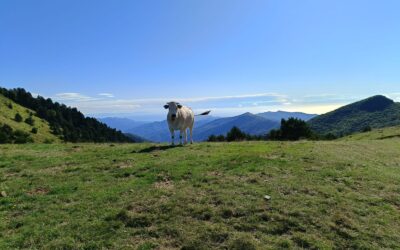 Eventi 15-17 maggio nel Parco