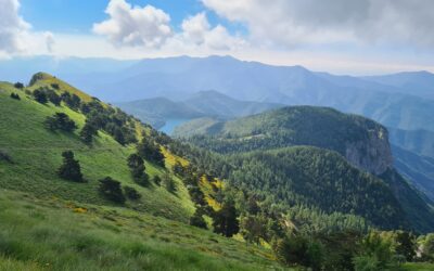 Eventi 13-14 giugno nel Parco