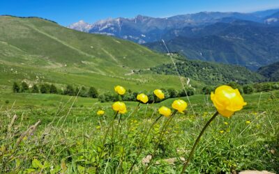 Eventi 26-29 giugno nel Parco