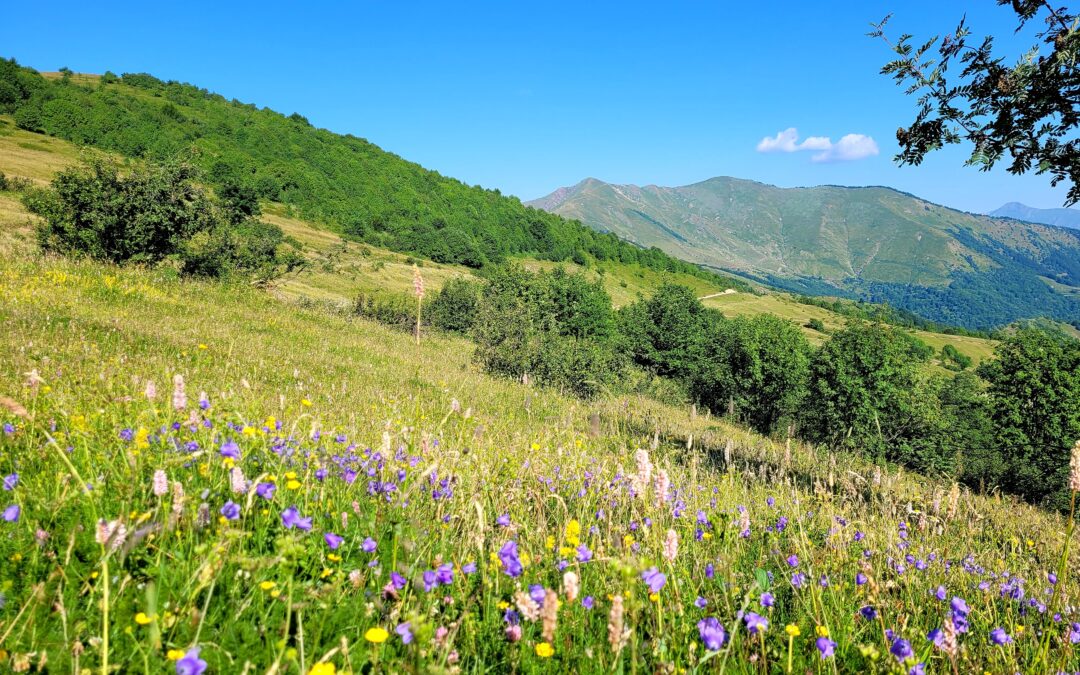 Eventi 10-15 luglio nel Parco