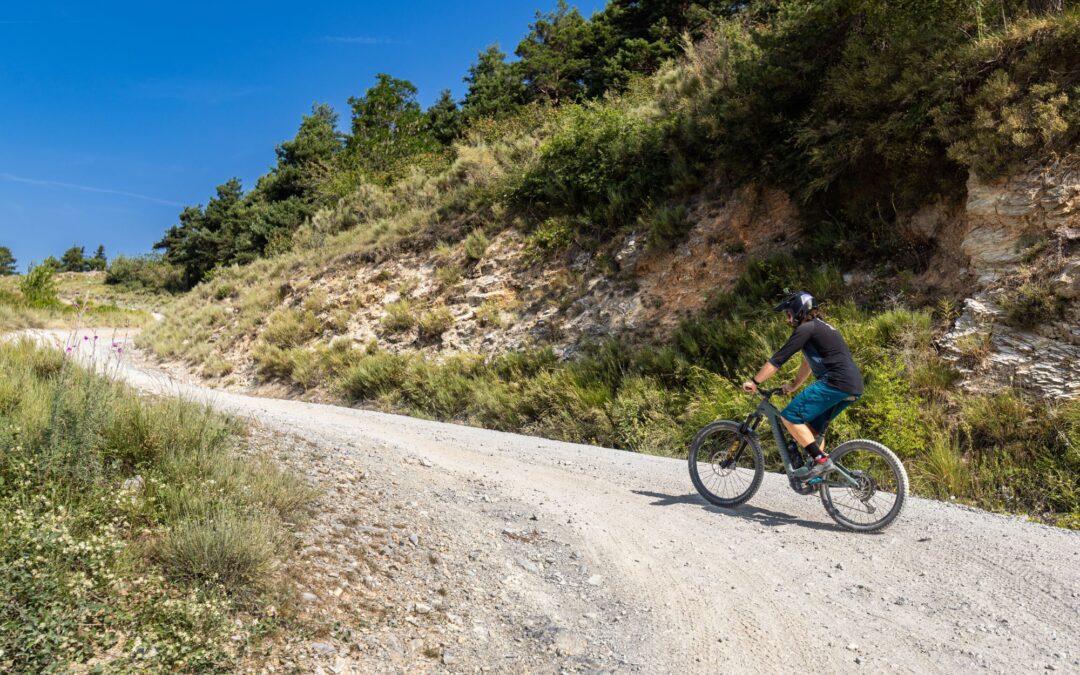 Eventi 7-12 agosto nel Parco