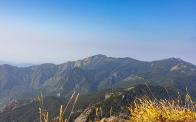 Eventi 13-17 agosto nel Parco