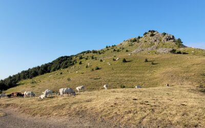 Eventi 28-30 agosto nel Parco