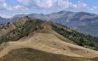 Venerdì 6 novembre – Escursione gratuita con il Parco