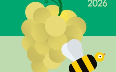Mieli dei Parchi della Liguria 2026: al via il concorso
